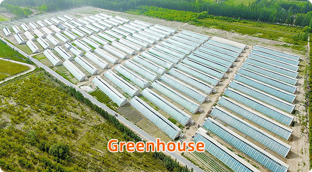 Greenhouse