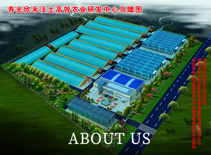 About Us