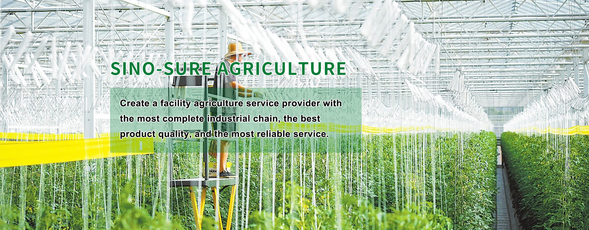 Shandong Sinosure Agricultural Group